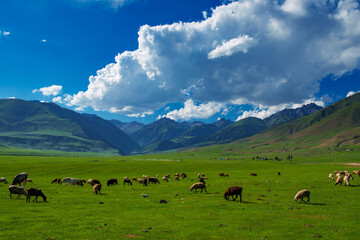 Fototapeta na wymiar Sheep and cows grazing in a picturesque meadow in a mountain valley
