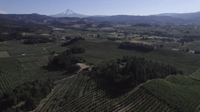 Farmlands Near a Mountain