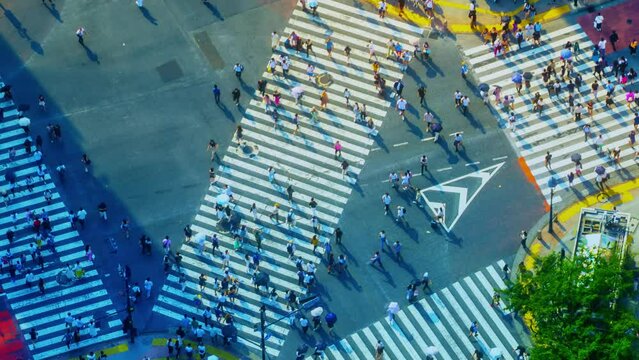 東京　渋谷スクランブル交差点　タイムラプス　2023夏