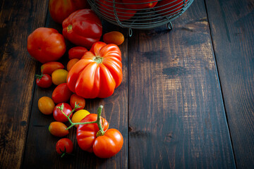 Composition of freshly picked fresh tomatoes on wooden boards