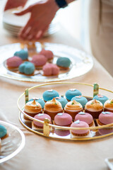 Gender reveal party. Babyshower. Decorations