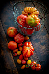 Composition of freshly picked fresh tomatoes on wooden boards