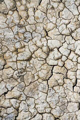The texture of the cracked and dried up soil on the surface of the salt marsh in the desert in the Kazakh steppe, the texture of the dried bottom of the lake