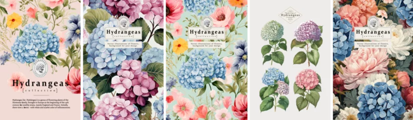  Hydrangeas, plants, leaves and flowers. Vector illustrations of beautiful realistic flowers for background, pattern or wedding invitations © Ardea-studio