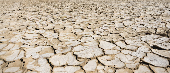 Cracked and dried soil on the surface of a salt marsh in the desert in the Kazakh steppe, the texture of the dried-up lake bottom