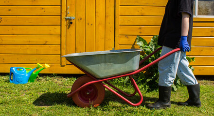 A gardener in rubber boots is working - driving a garden cart through the green grass on a garden...