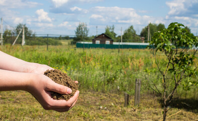Human hands hold fertile earth against the backdrop of the countryside and copy space.  Concept -...