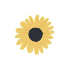 Vector yellow sunflower. Sunflower Isolated on white background.