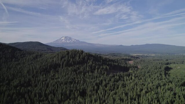 Large Mountain in the Forest
