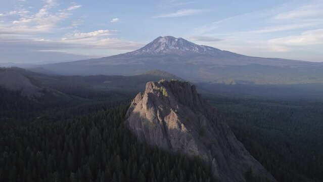 Mountains in the Forest