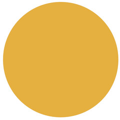 The circle is solid yellow as an illustration