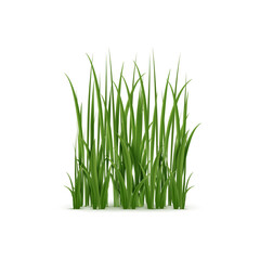 Realistic grass, lush green blades with soft texture. Isolated 3d vector ground cover provides a peaceful, natural setting in various environments such as meadows, gardens, and parks