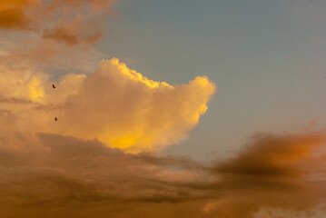 Pochmurne niebo zabarwione w pomarańczowych barwach i odcieniach przez zachodzące słońce . Przelatujące ptaki na tle chmur .