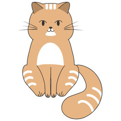 cat 2d drawing  on white background