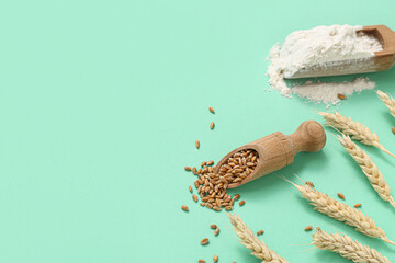 Wooden scoops with wheat flour and grains on turquoise background