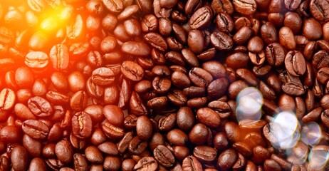 Tasty aroma coffee beans with dramatic light