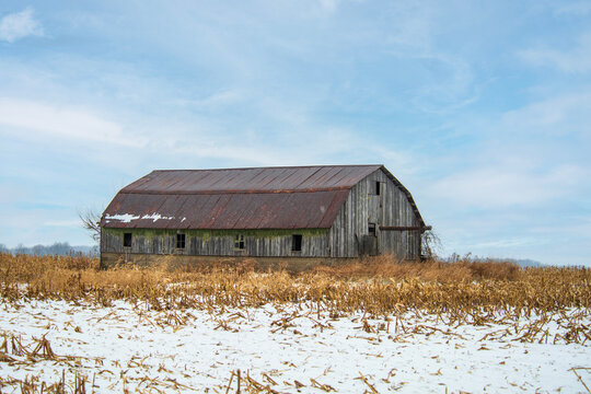 Old barn in corn field in winter.