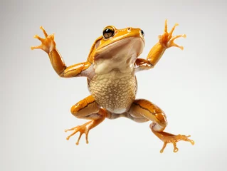 Deurstickers Yellow tree frog jumping on a white background © TheCoopers