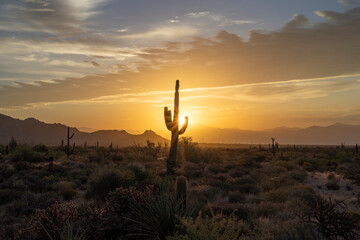 Extreme Heat Wave Arizona Desert Sunrise 2023