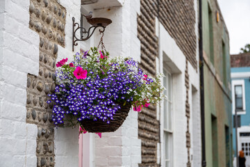 Fototapeta na wymiar Pretty colourful hanging basket containing flowers including trailing lobelias and petunias outside a house on a pretty row of urban terraced houses