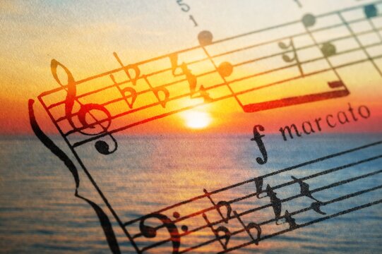 Beautiful musical notes on sunset sky background