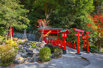 Beppu, Japan - Nov 25 2022: Hakuryu Inari Okami (White Dragon Inari Okami) shrine at Umi Jigoku hot spring in Beppu, Oita, one of Japan's most famous hot spring resorts