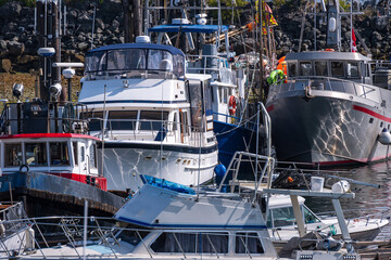 Fisherman's Wharf Porty Hardy Vancouver Island British Columbia: various commercial fishing boats...
