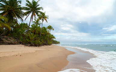 Praia paradisíaca em Taipu de Fora, no litoral da Bahia, no nordeste brasileiro. Ondas quebrando no mar, com areia sem pessoas e céu de verão nublado.