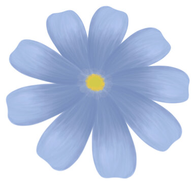 Blue Baby Breath