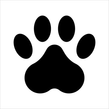 Paw icon vector. Paw Print icon vector illustration on white background