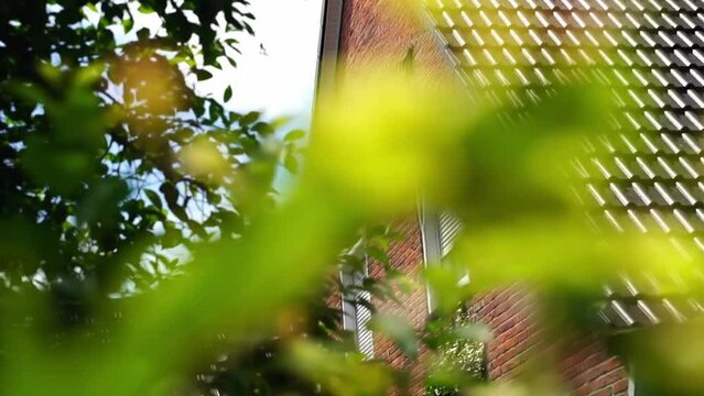 historic brick house in holland between nature with the inscription 1823