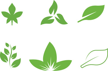 Green leaf ecology nature element vector icon, Leaf Icon. Green color. Leafs green color icon logo. Leaves on white background. Vector designer elements Decorative beauty elegant for design collection