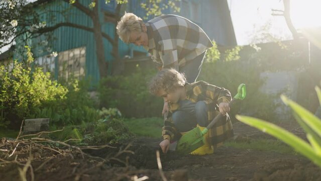 Gardening In Home Garden, Grandmother And Little Boy Working Together, Digging Ground