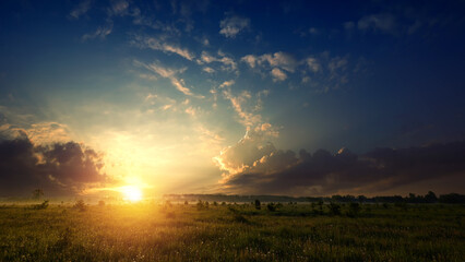 Happy new day concept: Stunning green meadow summer sunrise with sunlight.