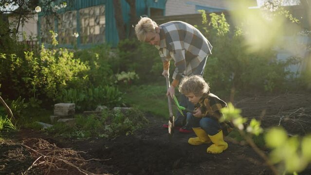 Farmer Family Working In Garden, Elderly Woman And Her Little Grandson Digging Ground