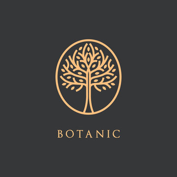 Luxury growth elegant golden botanic Tree branch with leaves identity logo. Botanic plant nature symbols. vector illustration.