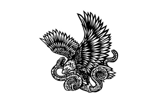 Eagle Battling A Snake Black And White Vector logo Stock Illustration