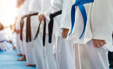 Martial arts athletes  in martial arts training exercising taekwondo