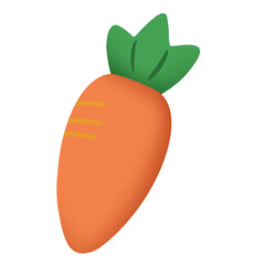 cute carrot and orange illustration