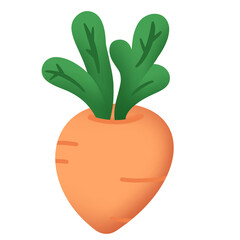 Fototapeta premium cute carrot and orange illustration