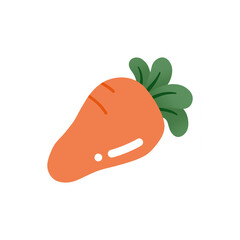 cute carrot and orange illustration