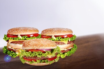 Homemade tasty fresh burgers dish