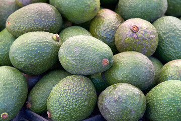 Fresh ripe avacados piled up for sale at farmer's market. closeup.