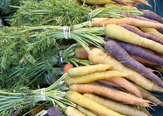 Rainbow carrots bunched with rubber bands and twist ties on table at Farmers Market. Fresh spring summer food