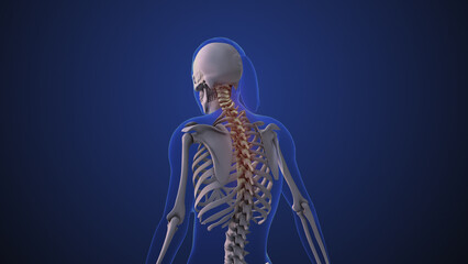 Neck pain or neck dysfunction