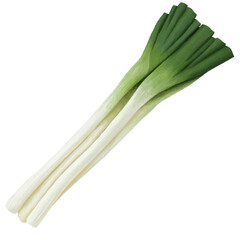 ネギのイラスト