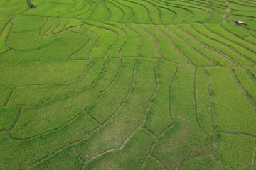 Abwaschbare Fototapete Reisfelder Beautiful green landscape view of rice terraces.