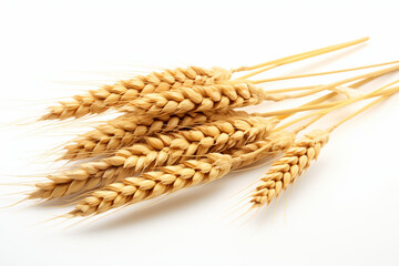 wheat berries on a white background