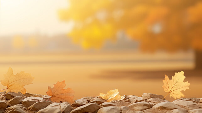 autumn leaves on the ground HD 8K wallpaper Stock Photographic Image
