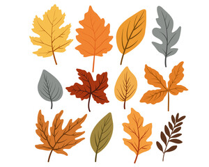 Set of colorful autumn leaves, vector illustration